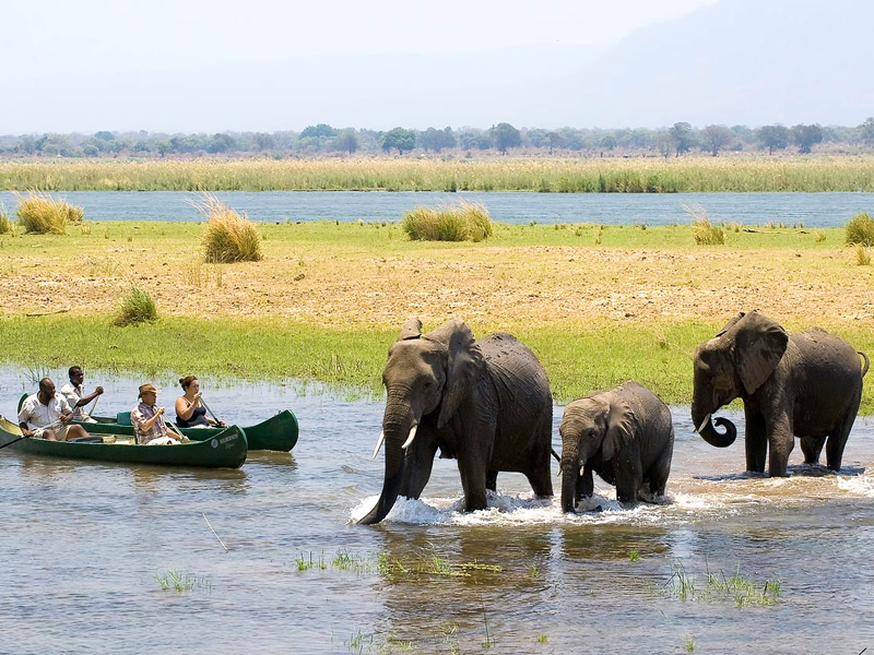 Сафари на каноэ